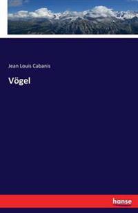 Vögel