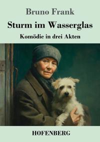 Sturm im Wasserglas