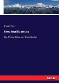 Flora fossilis arctica