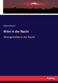 Wien in der Nacht