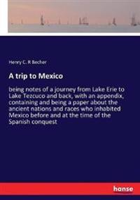 A trip to Mexico