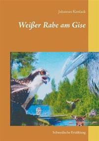 Weißer Rabe am Gise