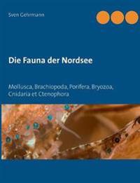 Die Fauna der Nordsee