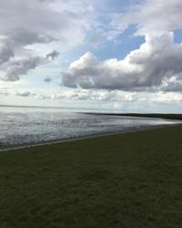 Strandtrift