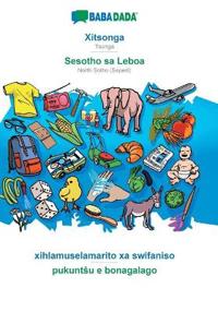 BABADADA, Xitsonga - Sesotho sa Leboa, xihlamuselamarito xa swifaniso - pukuntsu e bonagalago