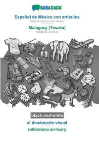 Español de México con articulos - Malagasy (Tesaka), el diccionario visual, BW