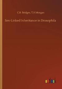 Sex-Linked Inheritance in Drosophila