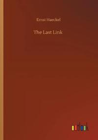 The Last Link