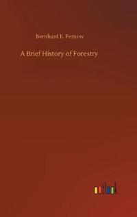 A Brief History of Forestry
