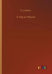 A Trip to Pilawin
