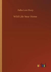 Wild Life Near Home