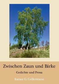 Zwischen Zaun und Birke