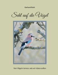 Seht auf die Vögel