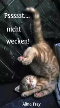 Psssst... nicht wecken!