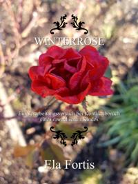 Winterrose