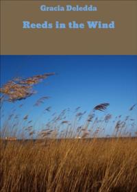 Reeds in the Wind