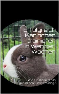 Erfolgreich Kaninchen trainieren in wenigen Wochen