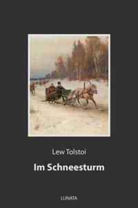 Im Schneesturm