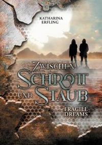 Zwischen Schrott und Staub