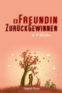 Ex Freundin zurückgewinnen in 4 Wochen