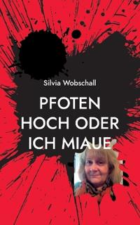 Pfoten hoch oder ich miaue