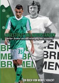 Abgestürzt und auferstanden
