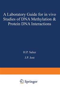 A laboratory guide for in vivo studies of DNA methylation and protein/DNA interactions