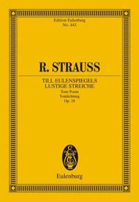 Till Eulenspiegels lustige Streiche