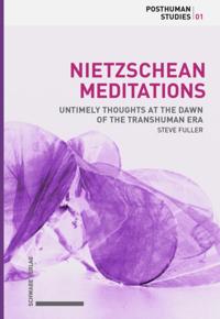 Nietzschean Meditations