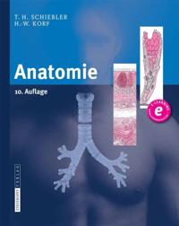 Medicine (German Language)