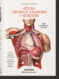 Bourgery. Atlas of Human Anatomy and Surgery