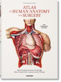 Bokomslag för "Bourgery. Atlas of Human Anatomy and Surgery"