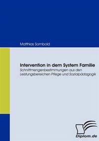 Intervention in dem System Familie