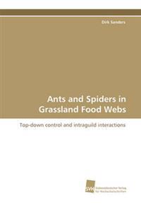 Ants and Spiders in Grassland Food Webs