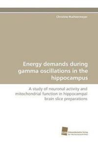 Energy demands during gamma oscillations in the hippocampus