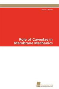 Role of Caveolae in Membrane Mechanics