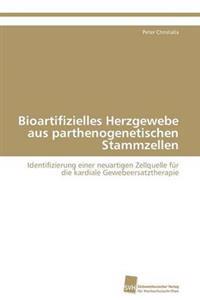 Bioartifizielles Herzgewebe aus parthenogenetischen Stammzellen