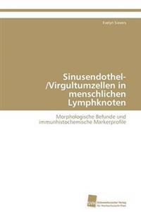 Sinusendothel-/Virgultumzellen in menschlichen Lymphknoten