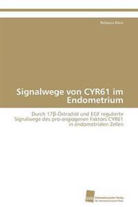 Signalwege von CYR61 im Endometrium