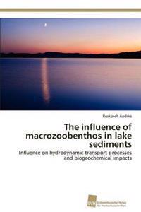 The influence of macrozoobenthos in lake sediments