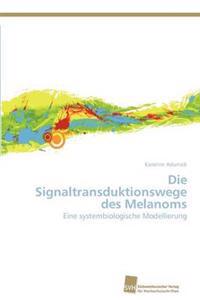 Die Signaltransduktionswege des Melanoms