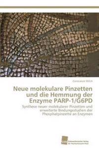 Neue molekulare Pinzetten und die Hemmung der Enzyme PARP-1/G6PD