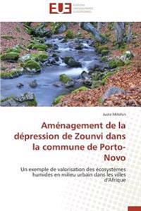 Aménagement de la dépression de Zounvi dans la commune de Porto-Novo