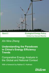 Understanding the Paradoxes in China's Energy Efficiency Trends