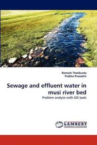 Sewage and Effluent Water in Musi River Bed
