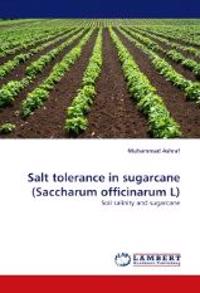 Salt Tolerance in Sugarcane (Saccharum Officinarum L)