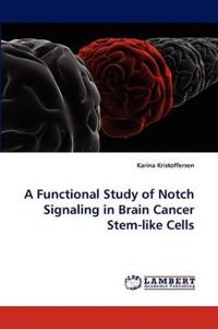 A Functional Study of Notch Signaling in Brain Cancer Stem-like Cells