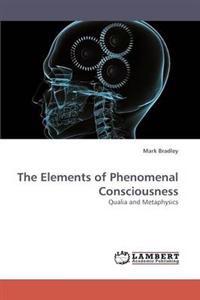 The Elements of Phenomenal Consciousness