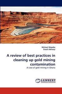 A review of best practices in cleaning up gold mining contamination