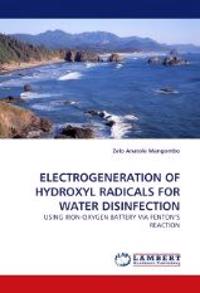 Electrogeneration of Hydroxyl Radicals for Water Disinfection
